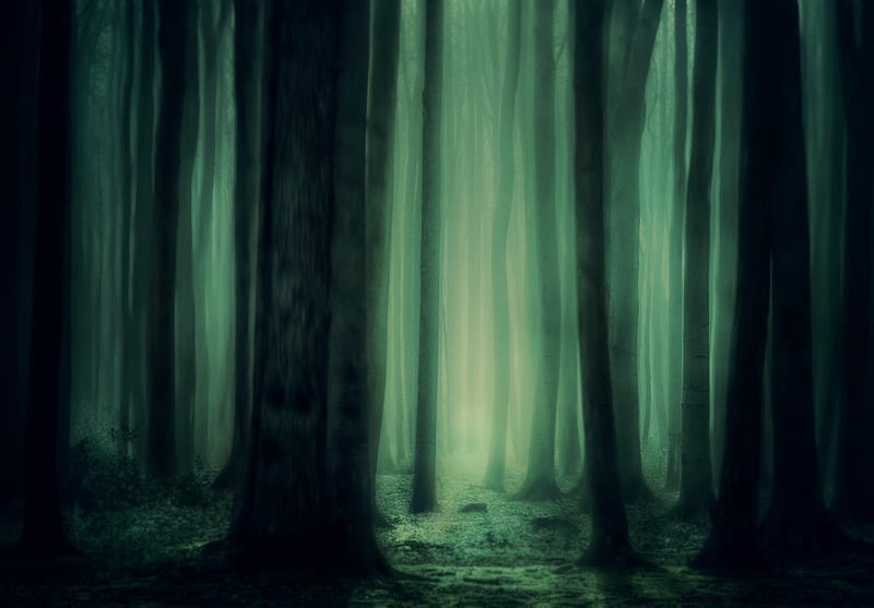 Elemental Influence